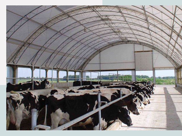 Тентовые коровники в Ревде